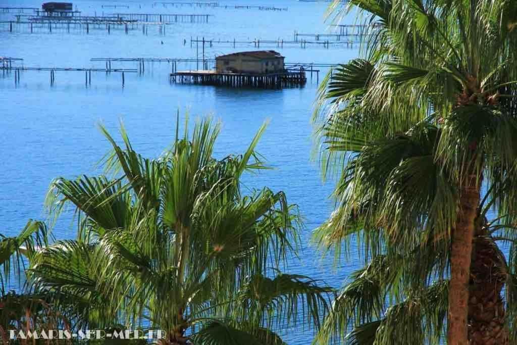 Les Pieds Dans L'Eau Διαμέρισμα La Seyne-sur-Mer Εξωτερικό φωτογραφία